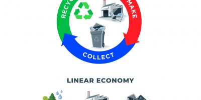Comparing circular and linear economy showing product life cycle. Natural resources taken to manufacturing. After usage product is recycled or disposed. Waste recycling isolated on white background.